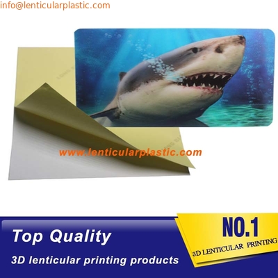 Custom Design Business Card Printed Lenticular Photocard Printing 3d lenticular picture printing 3d flip poster